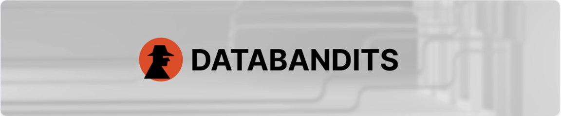 Data Bandits homepage animatie placeholder